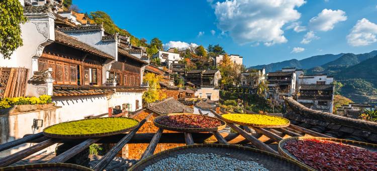 悦庐民宿(婺源高铁站弦高西湖凼文旅街区店)图片