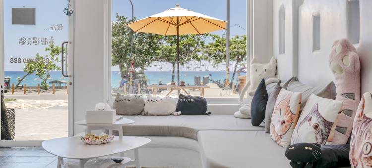 希腊遇见猫图片