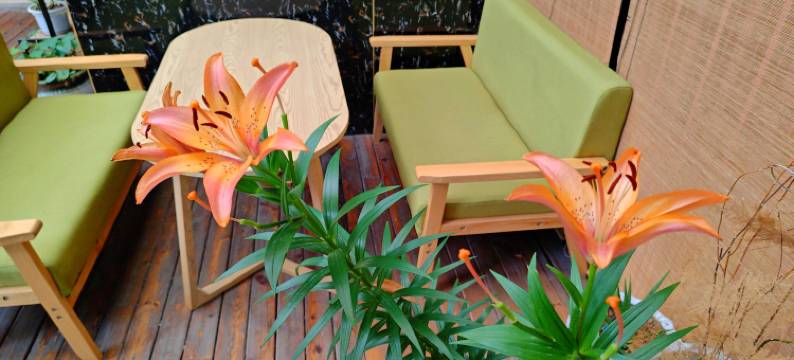 从江现代花园酒店图片