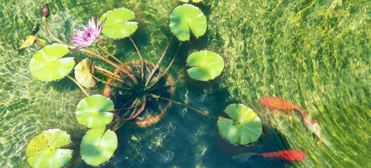 花筑·梵星花园民宿(佛山顺德华侨城欢乐海岸Plus店)图片