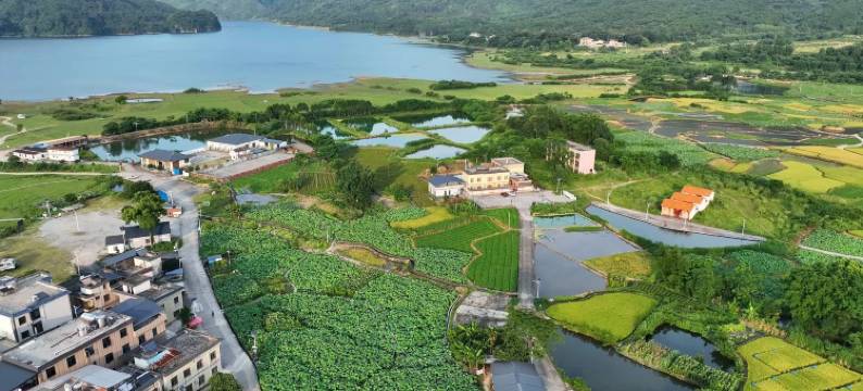 云逸居民宿图片