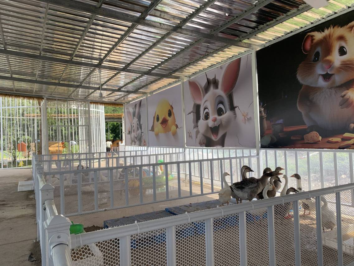河源春沐源小镇·棕榈树酒店图片