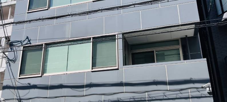 Sakura Dance 3图片