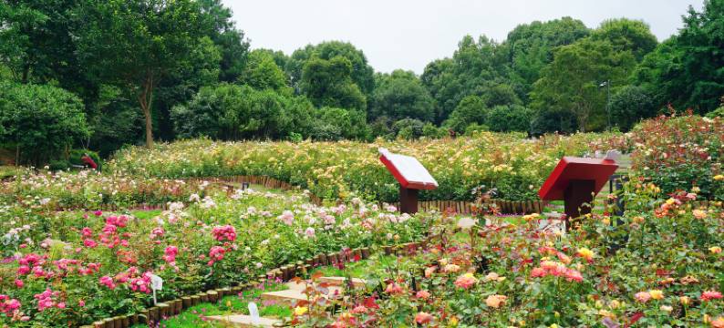 长沙普瑞酒店图片