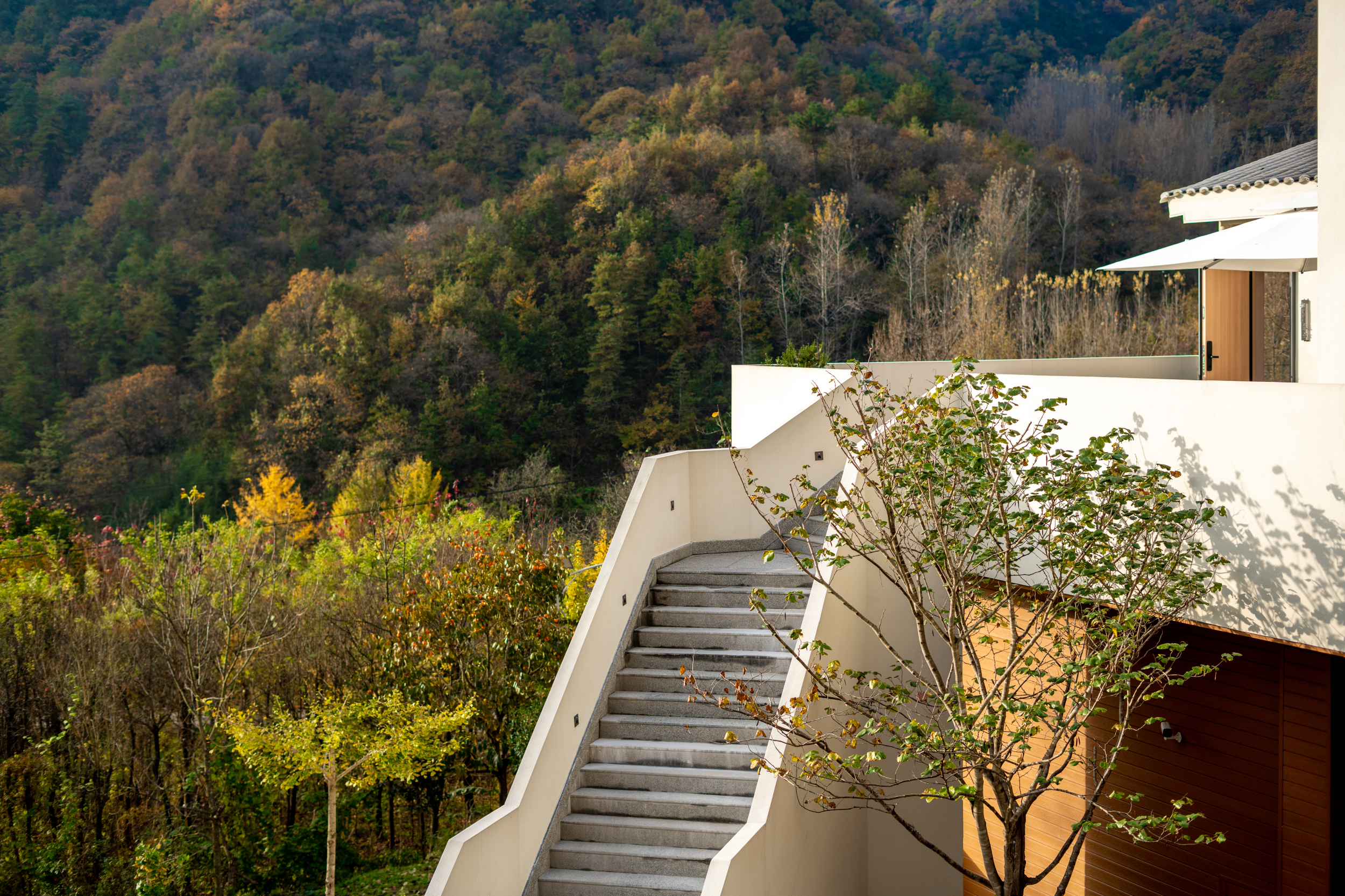 Liuba Mountain and Twelve Habits Over view