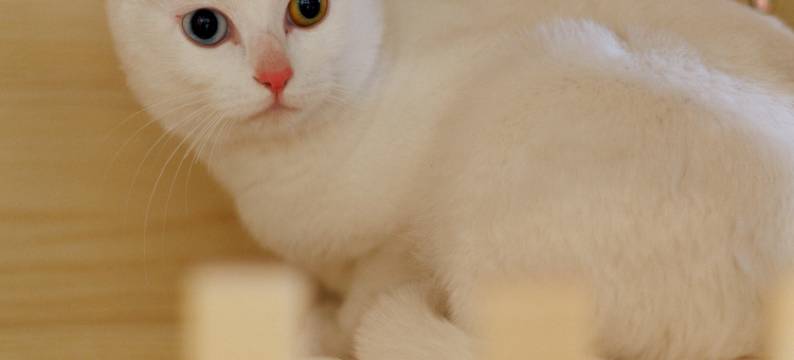 归野客栈(康新公路秀沿路地铁站店)图片