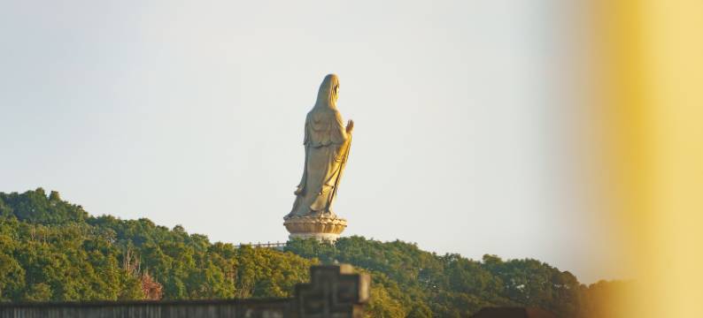 普陀山竺迦小庄(南海观音店)图片