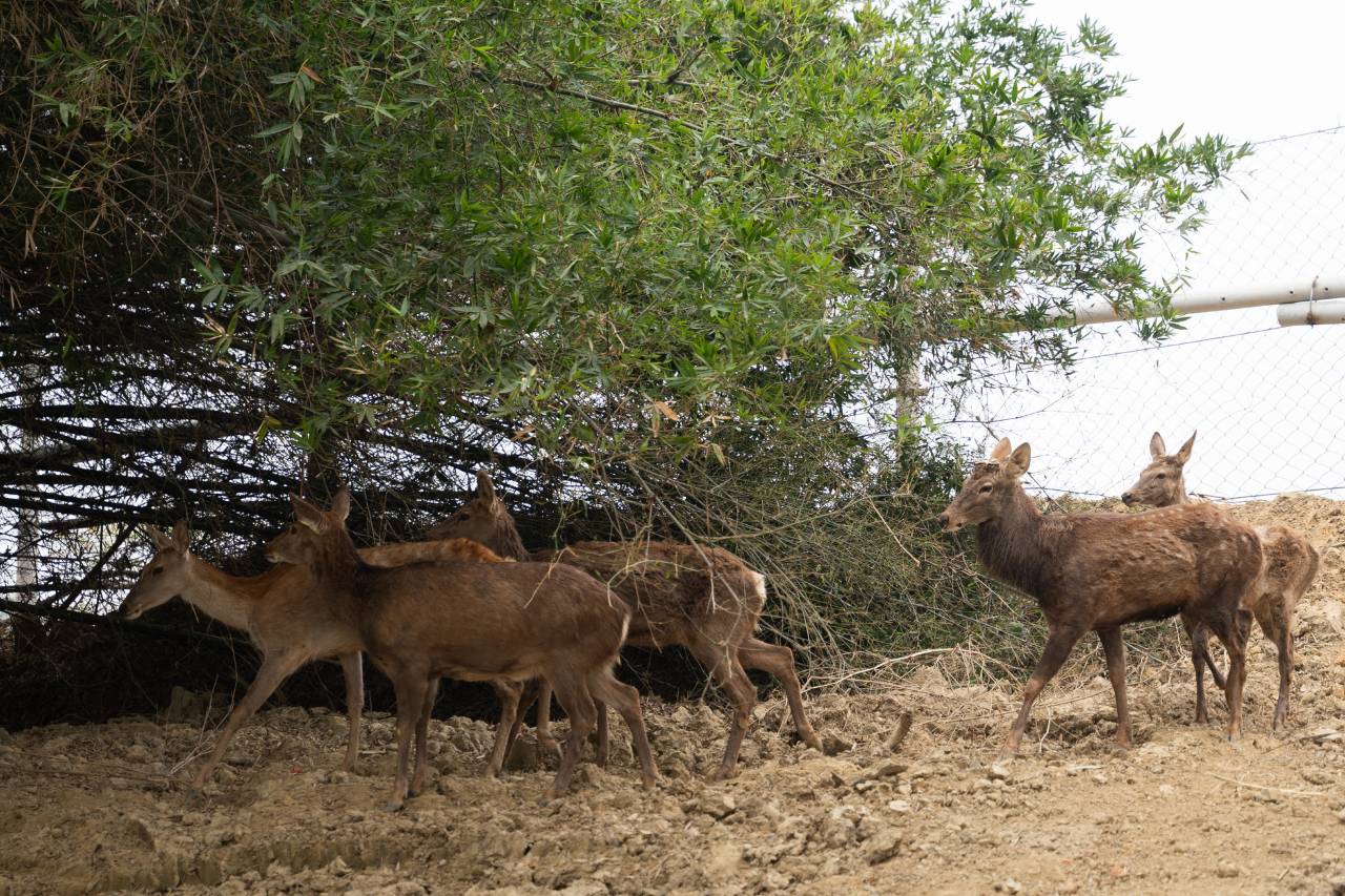 凤乡玉怀酒店图片