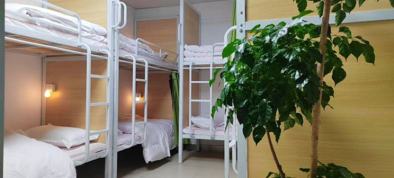 禄玖青旅(安徽白马商贸城合肥火车站店)图片