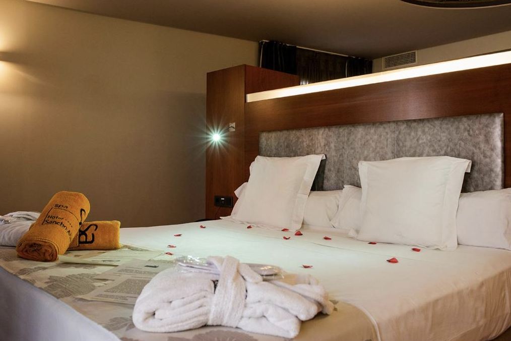 Hotel Sancho Abarca Petit Spa Over view