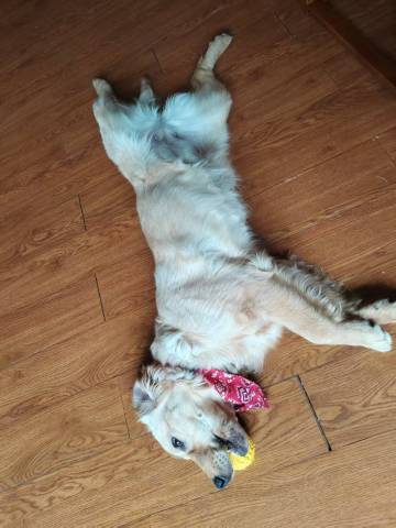 乌栖FIELD·乡野星居(束河古镇店)图片