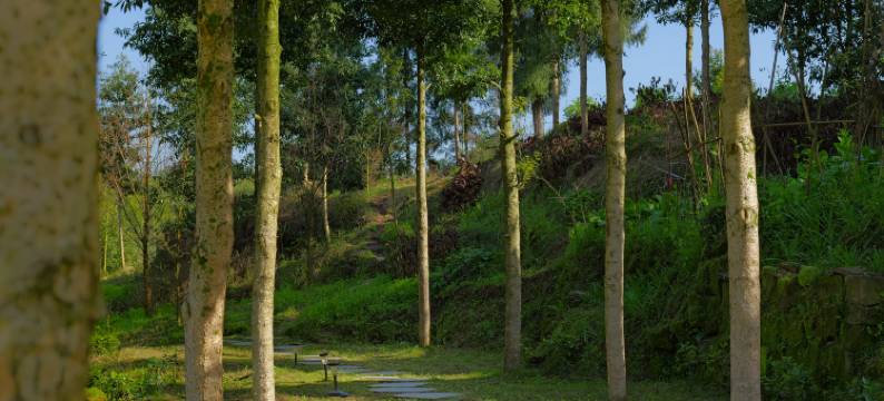 邛崃半山石院民宿图片