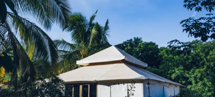 Angirasa Nature Getaways LLP图片