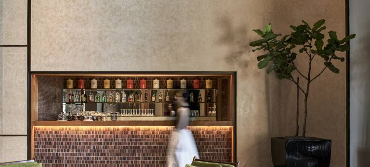 苏迪尔曼探索(Discovery SCBD)图片