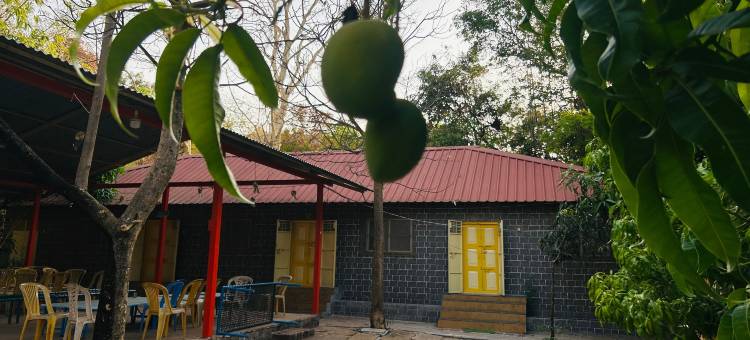 拉杰加德农场及农业旅游(Rajgad Farms & Agritourism)图片