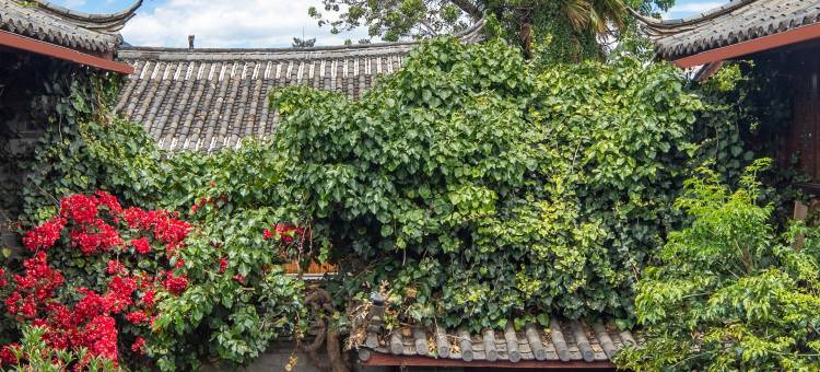 听花·小院(丽江古城大水车店)图片