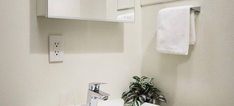 西雅特羽田 Ⅱ(Theatel Haneda II)图片