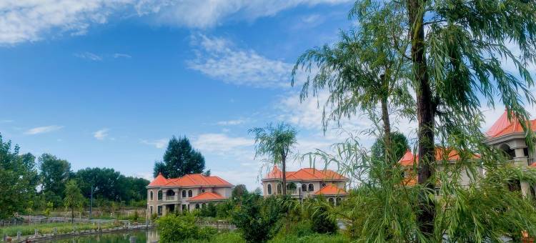 特克斯丽呈别院图片