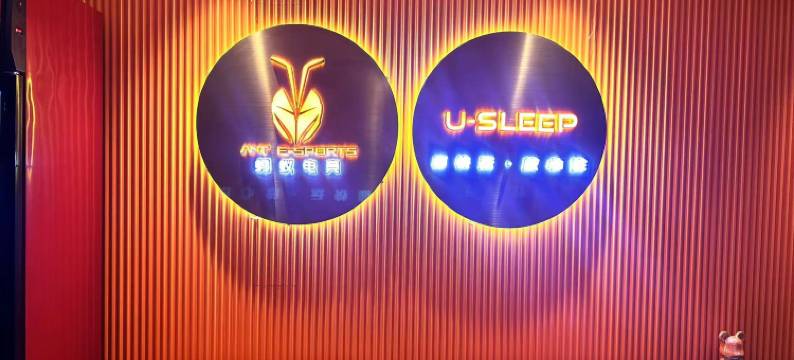 蚂蚁电竞酒店(汽博金渝地铁站店)图片