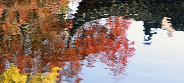 苏州金普顿竹辉酒店图片