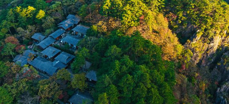 雲亼·曙光里图片