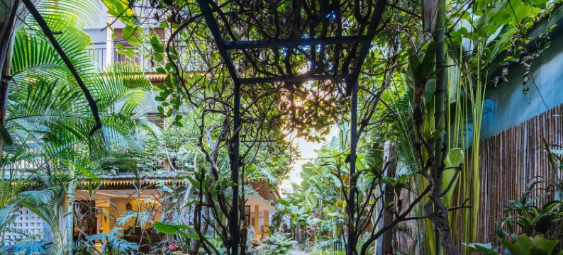 花筑·曼悦合·丛林野奢度假ForestVilla傣墅吊脚楼(曼听公园店)图片