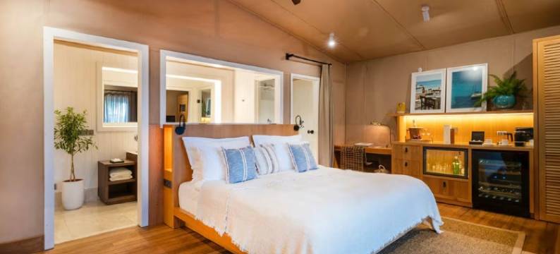 Yazz 集体(Yazz Collective)图片