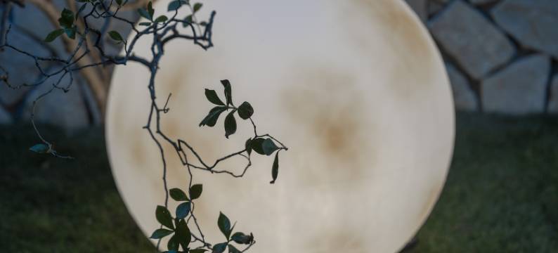 桂花温泉民宿(建德航空小镇店)图片