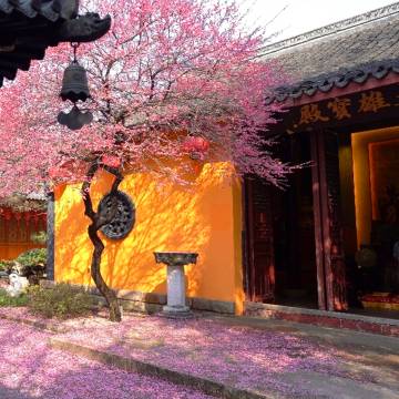 湖州东吴开元名都酒店图片