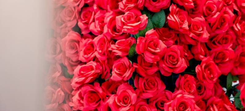 尚客优酒店(南京南站胜太路地铁站店)图片