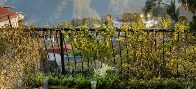 萨帕德拉索尔中心精品酒店(DeLaSol Sapa - Central Boutique Hotel)图片