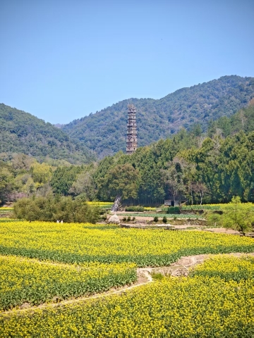 The Lucid Resort Tiantai Hotel Overview