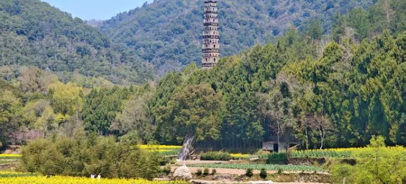 庐境天台度假酒店图片