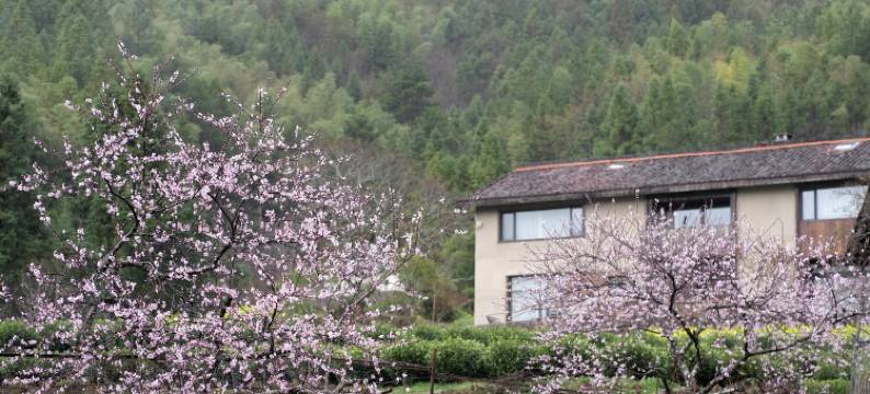 丽水遂昌乐领旗山侠隐图片