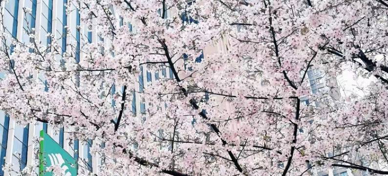 武汉汉口温德姆花园酒店图片