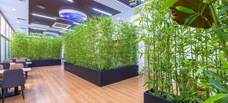 德尚竹林酒店(北京环球度假区店)图片
