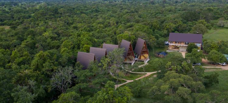 威尔帕图野生动物园度假村(Wilpattu Safari Resort)图片