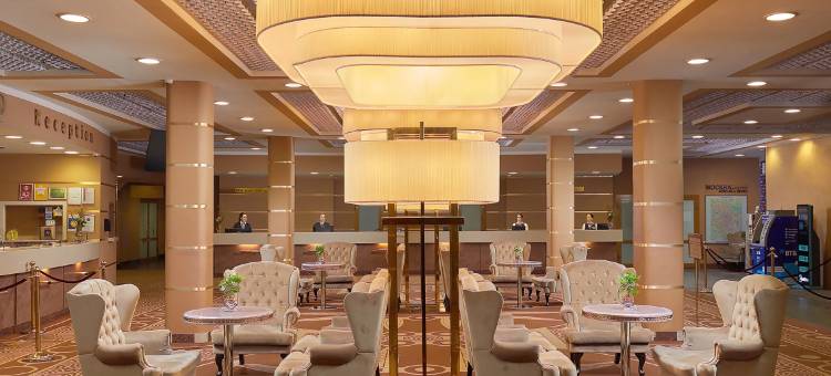 伊兹麦洛瓦伽玛酒店(Hotel Izmailovo Gamma)图片