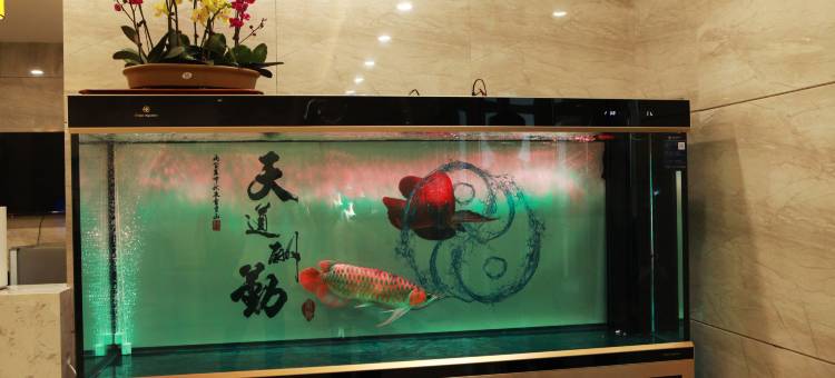 独山子念君商务酒店图片