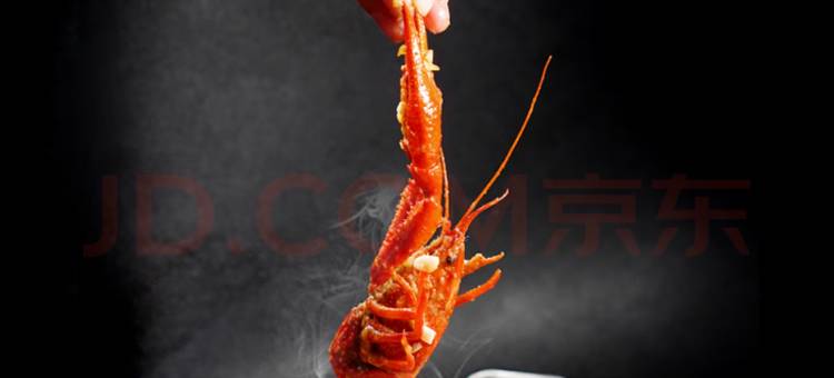 天桥湖多8安岛度假露营地图片