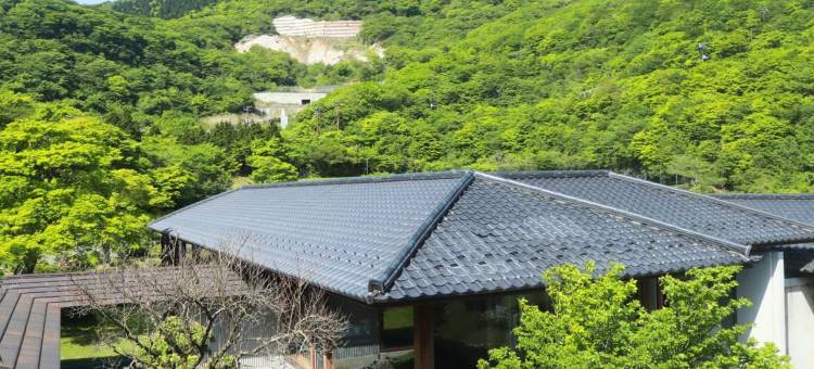 箱根汤之花王子大酒店(Hakone Yunohana Prince Hotel)图片