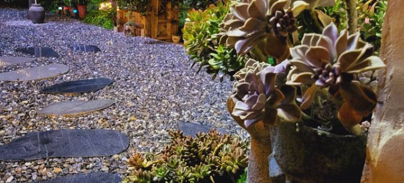 巴塘一牧奢野民宿图片