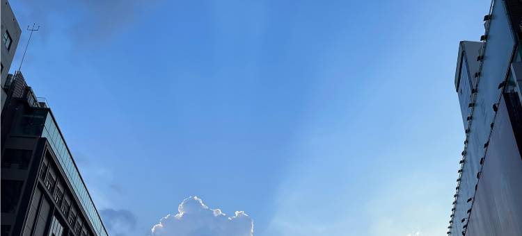 7天酒店(郑州二七广场东大街地铁站店)图片