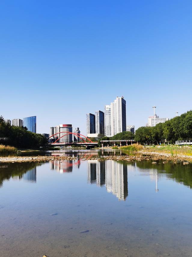 潍坊国际金融大酒店(世界风筝广场世纪泰华购物广场店)图片
