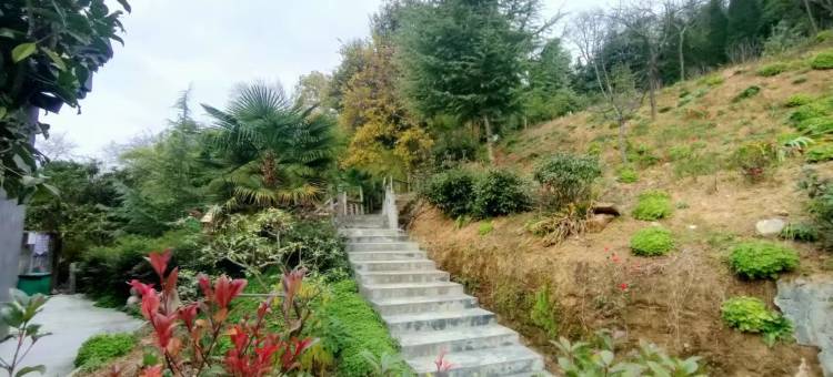 汉阴龙岗大酒店图片