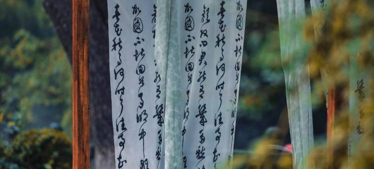 清照泉城孟家客栈(明水古城)图片