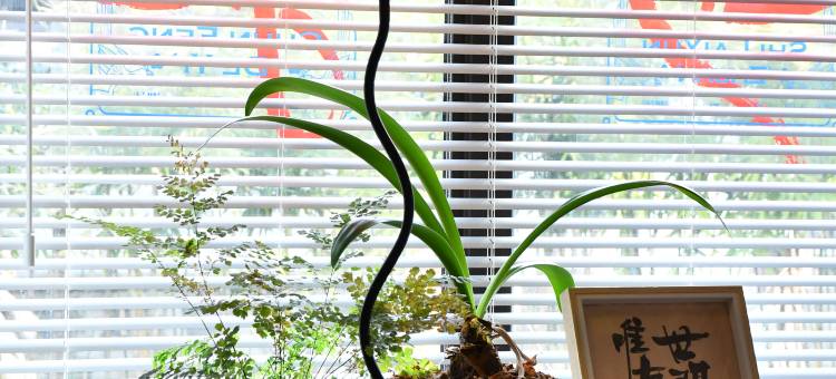 西湖己度民宿图片