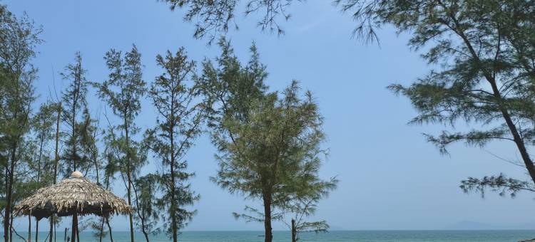 会安孟青度假酒店(Muong Thanh Holiday Hoi An Hotel)图片