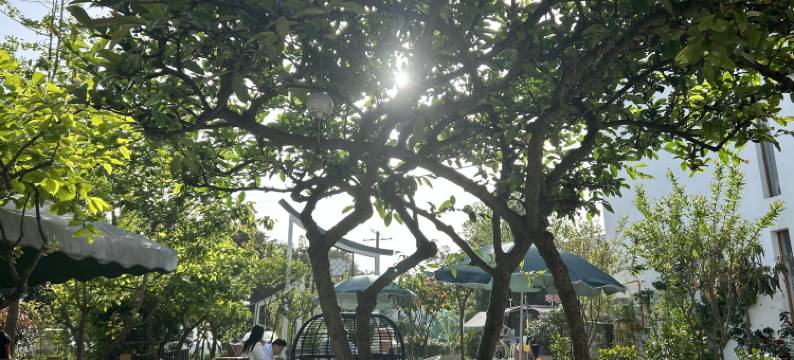 书影小院民宿(三圣花乡幸福梅林)图片