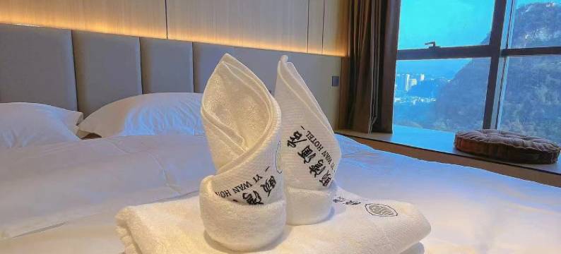 颐湾酒店(柳州银泰城店)图片